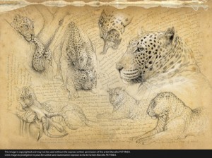 65-HH-leopard-A(1500)_1 (Copier)