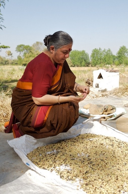 6vandanagraines_7814 (Copier)