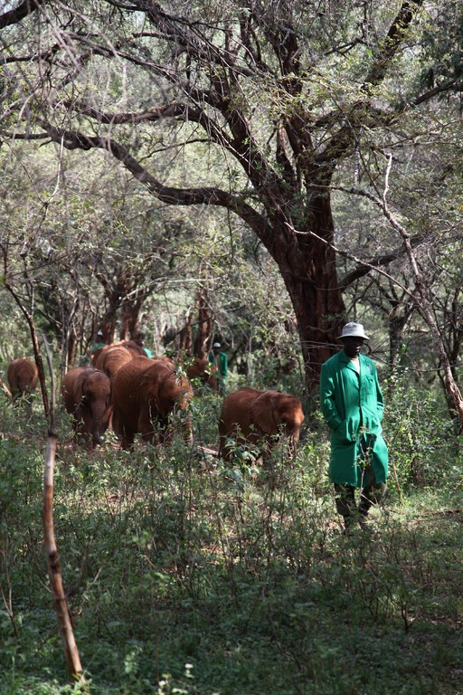 Orphans walking with the Keepers IMG_2353 (3) (Copier)