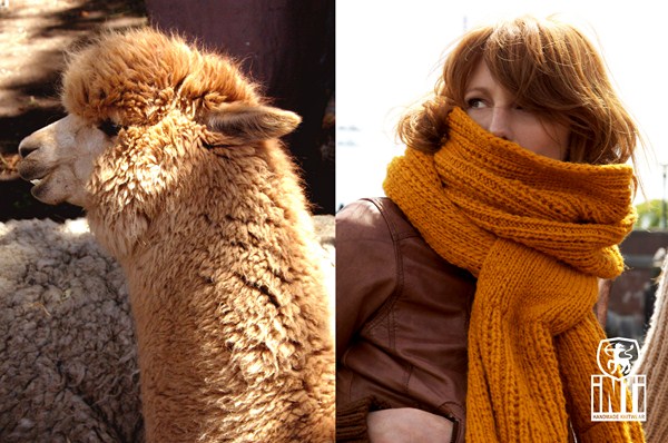 helen-lama1 (Copier)