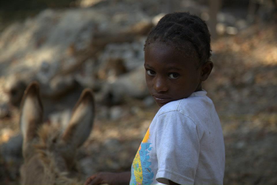 321220_139836339454361_1580034162_n