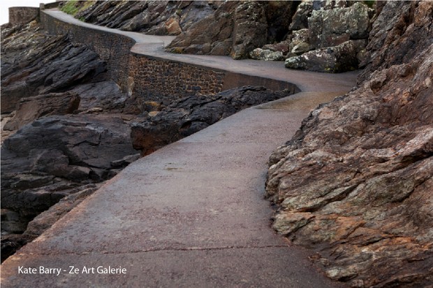Kate Barry-Ze Art Galerie- Chemin sinueux -ZAG (Copier)