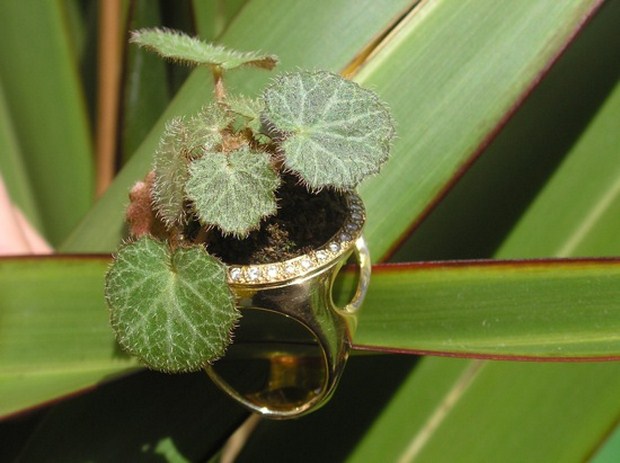 bag 346h (2) (Copier)