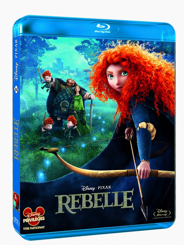 REBELLE_BDdef_3dimp (Copier)