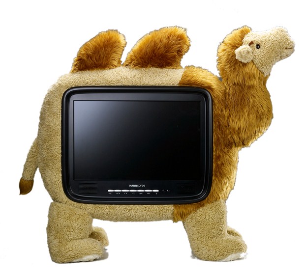 camel_front.jpg (Copier)