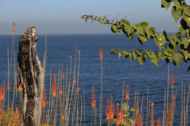 g Kemzo Malou4 (Copier)