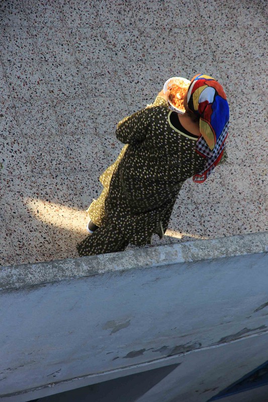 IMG_4984 copie (Copier)