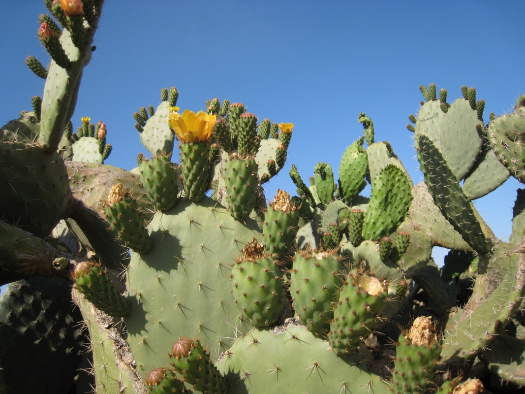 5 avril 011 (1) (Copier)