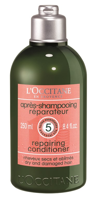 Après shampoing réparateur 250ml (1) (Copier)