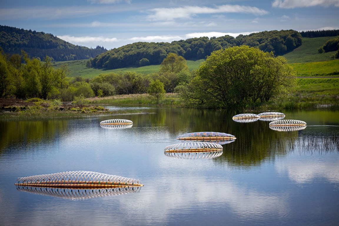 DIATOMEES MEGASCOPIQUES C Emmanuel Lattes copie (1) (Copier)