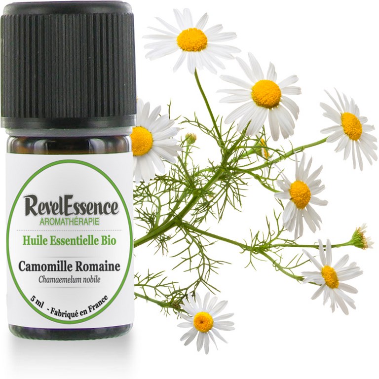 Camomille Romaine 5ml-visuel (Copier)