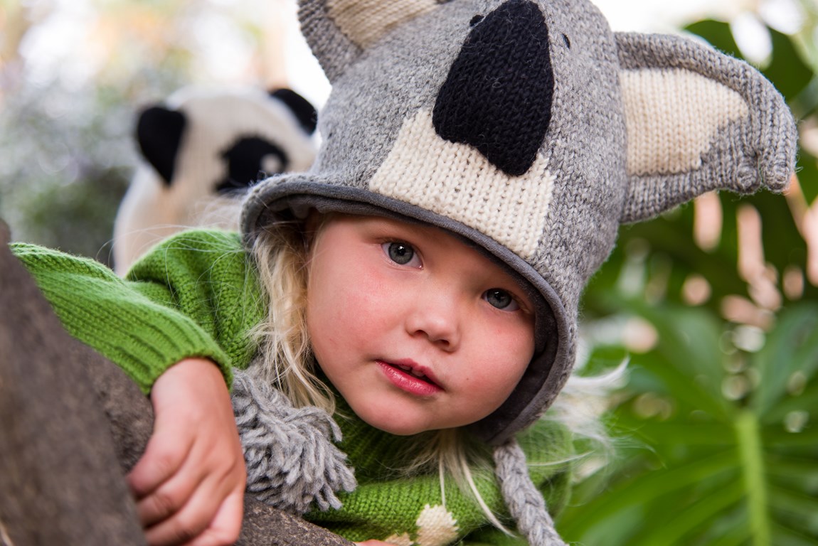 Modele KOALA entre 36e et 41euros selon les tailles