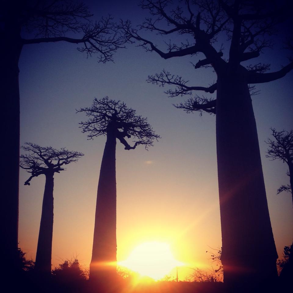 1233440_349403555192908_1667569119_n