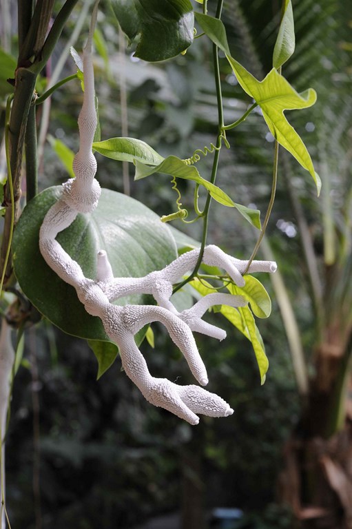 _DSC6932 ret copie (Copier)