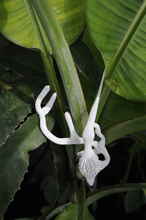 _DSC6940 ret copie (Copier)