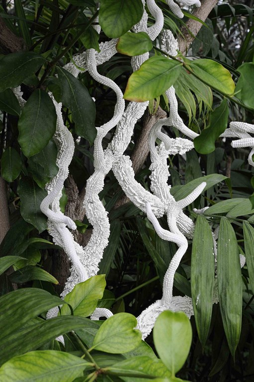 _DSC6969 ret copie (Copier)