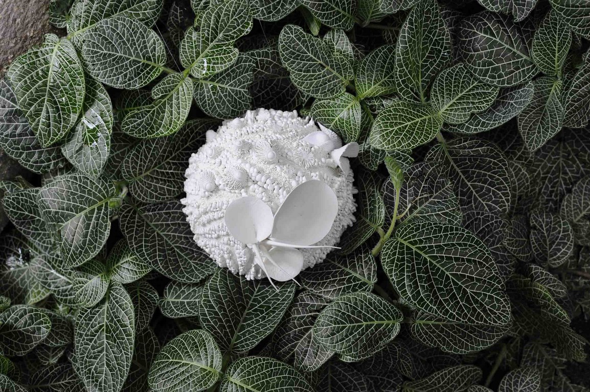 _DSC6987 ret copie (Copier)