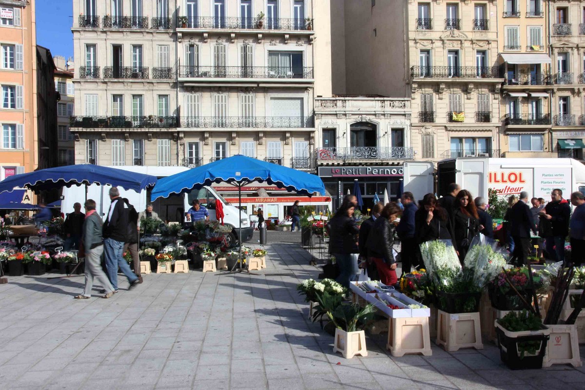 IMG_8236 copie (Copier)