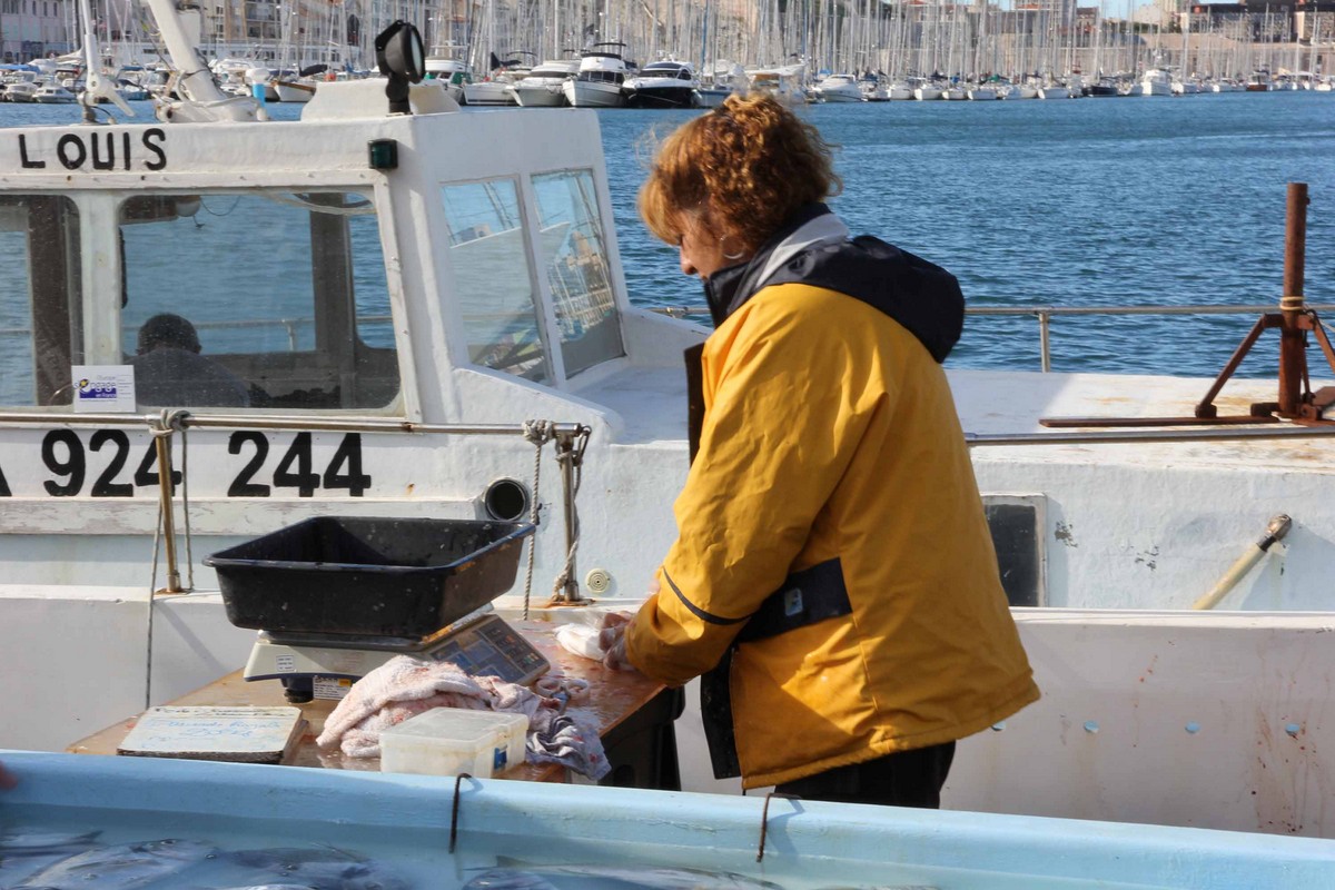 IMG_8239 copie (Copier)