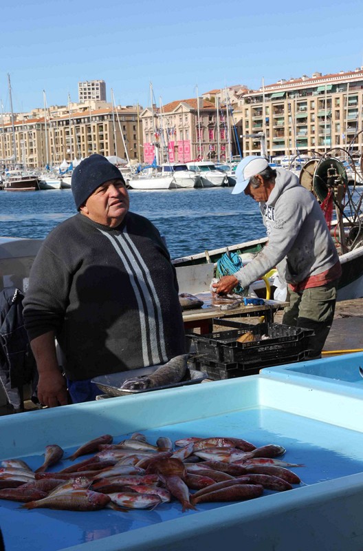 IMG_8244 copie (Copier)