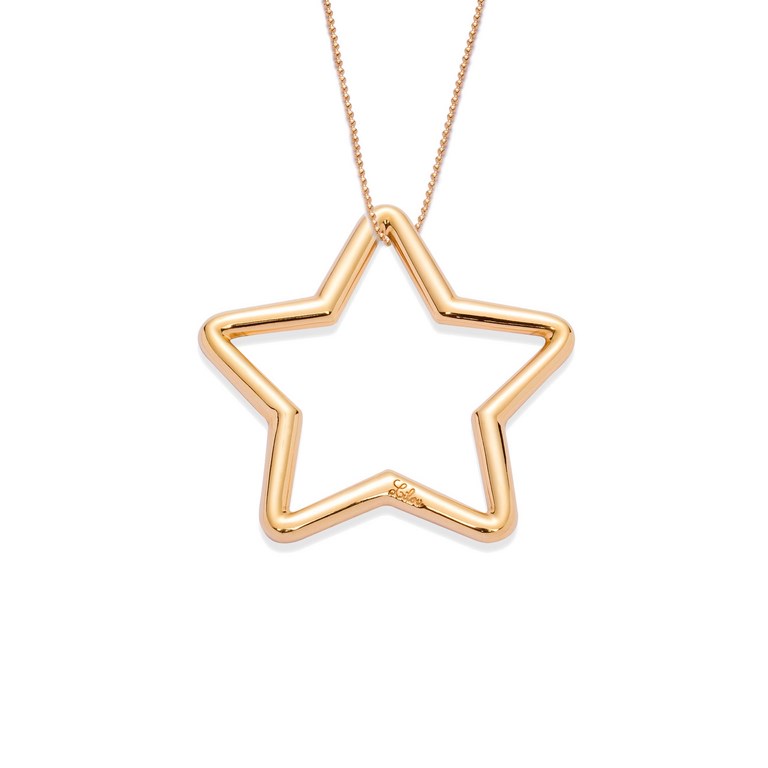 lilou-etoile-ajouree-4cm-sur-chaine-plaque-or-70cm-plaque-or-95 euros (1) (Copier)