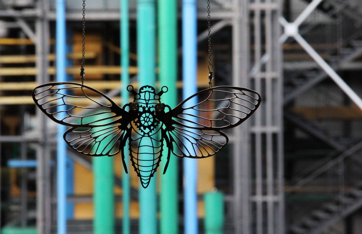 IMG_8522 copie (Copier)