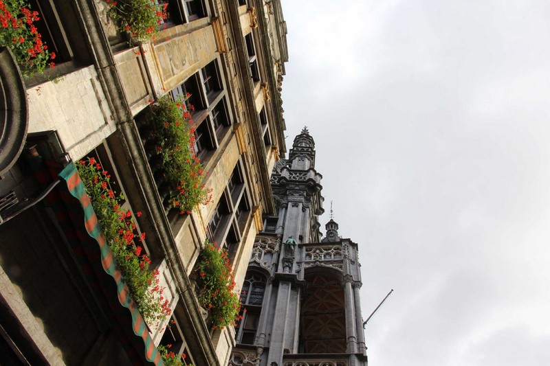 IMG_8609 copie (Copier)