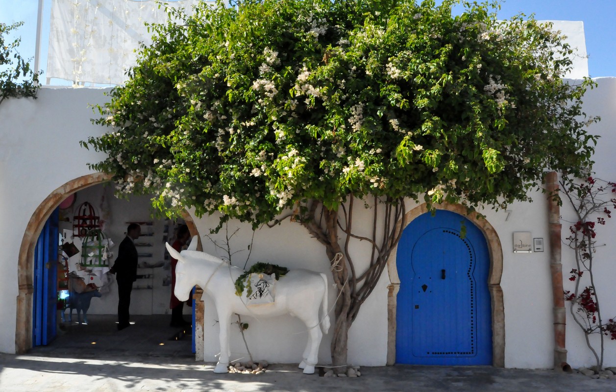 inauguration hara in 013 (Copier)