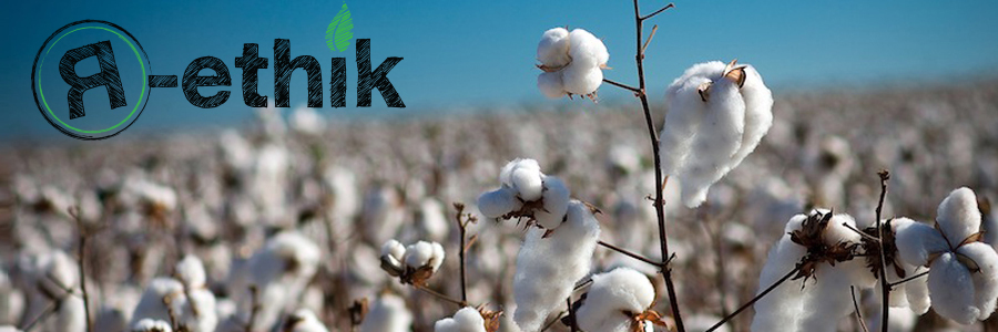 coton-rethik (1)