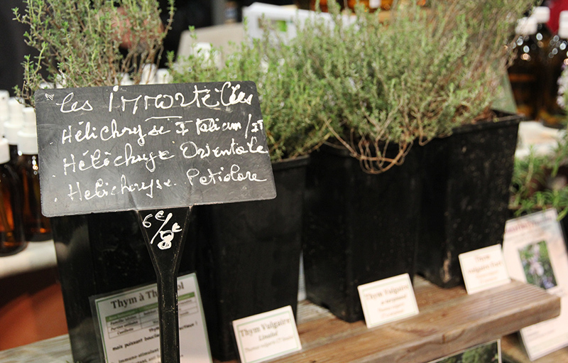 Lavandes et Compagnie2