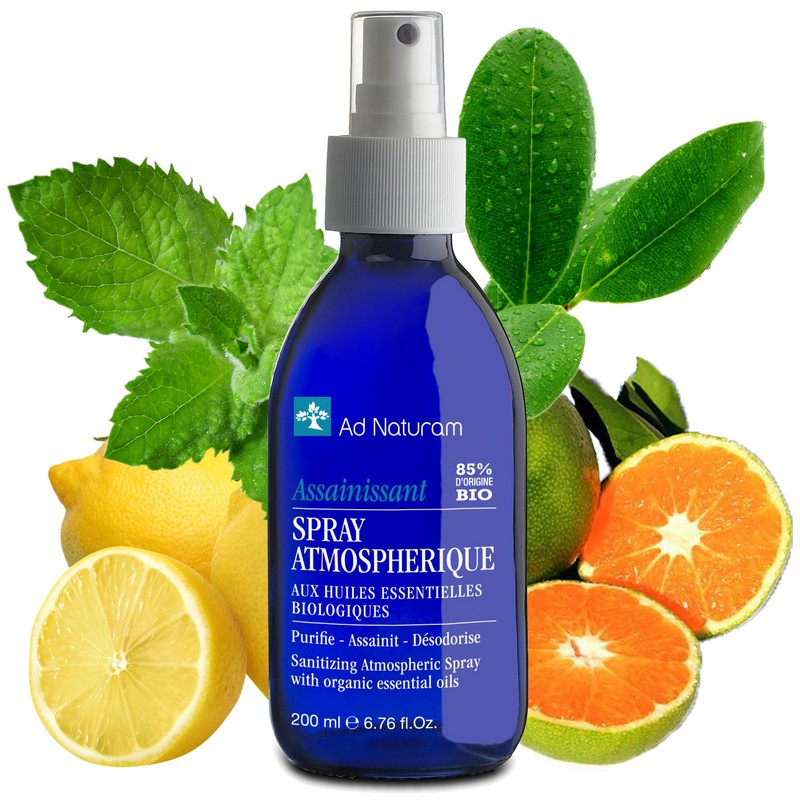 Spray_assainissant_200_ml (Copier)