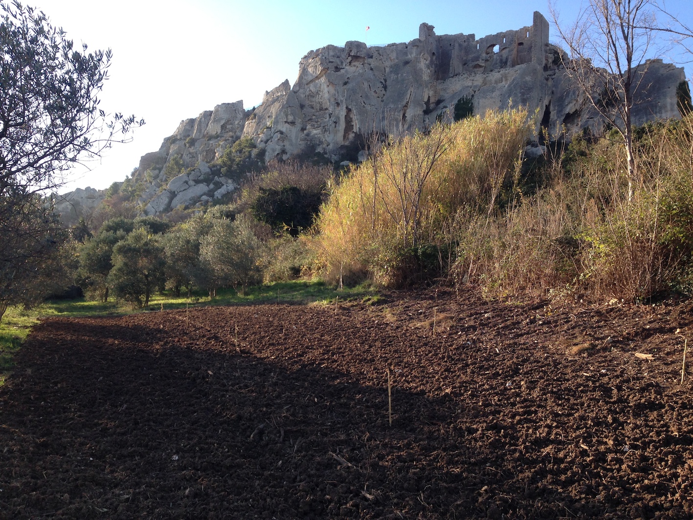 Parcelle Estaques Haute - Vue sur le chateau des Baux_