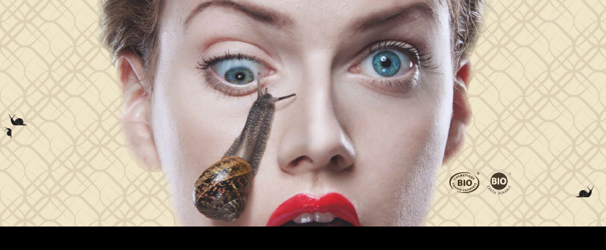 11040605_799266580171933_4792295980929888762_n