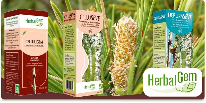 banniere-herbalgem