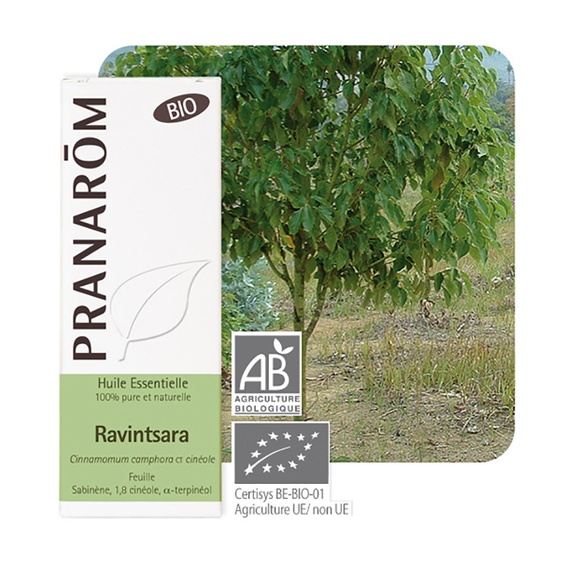 huile-essentielle-de-ravintsara-a-cineole-feuilles-bio-cinnamomum-camphora-pranarom
