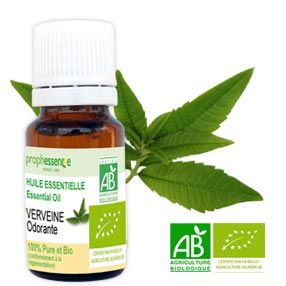 verveine-odorante-bio-huile-essentielle