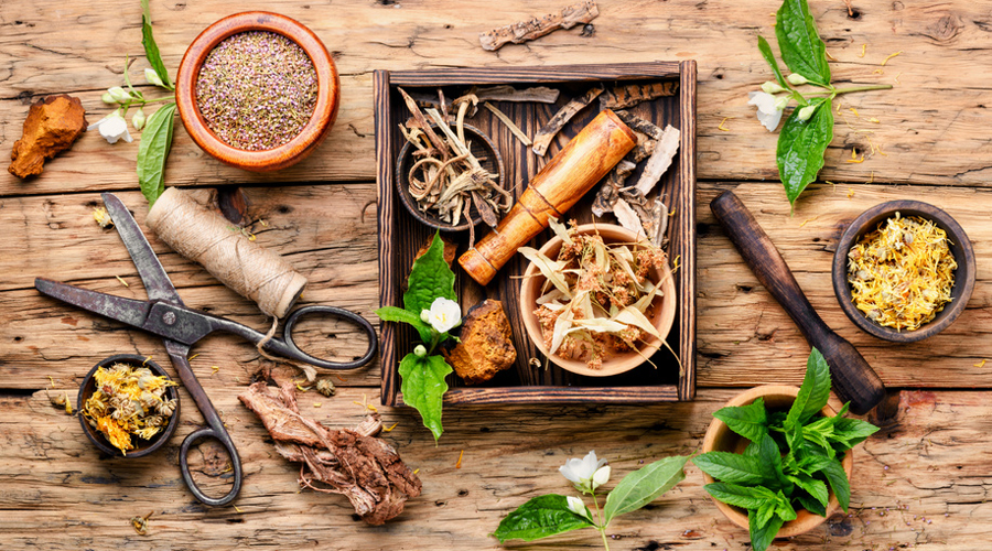 36627-metier-herboriste-renaissance