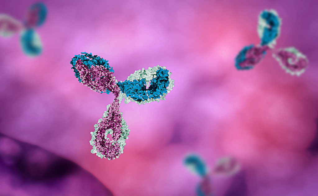 Immunotherapie-roseupassociation-shutterstock_677357518-web