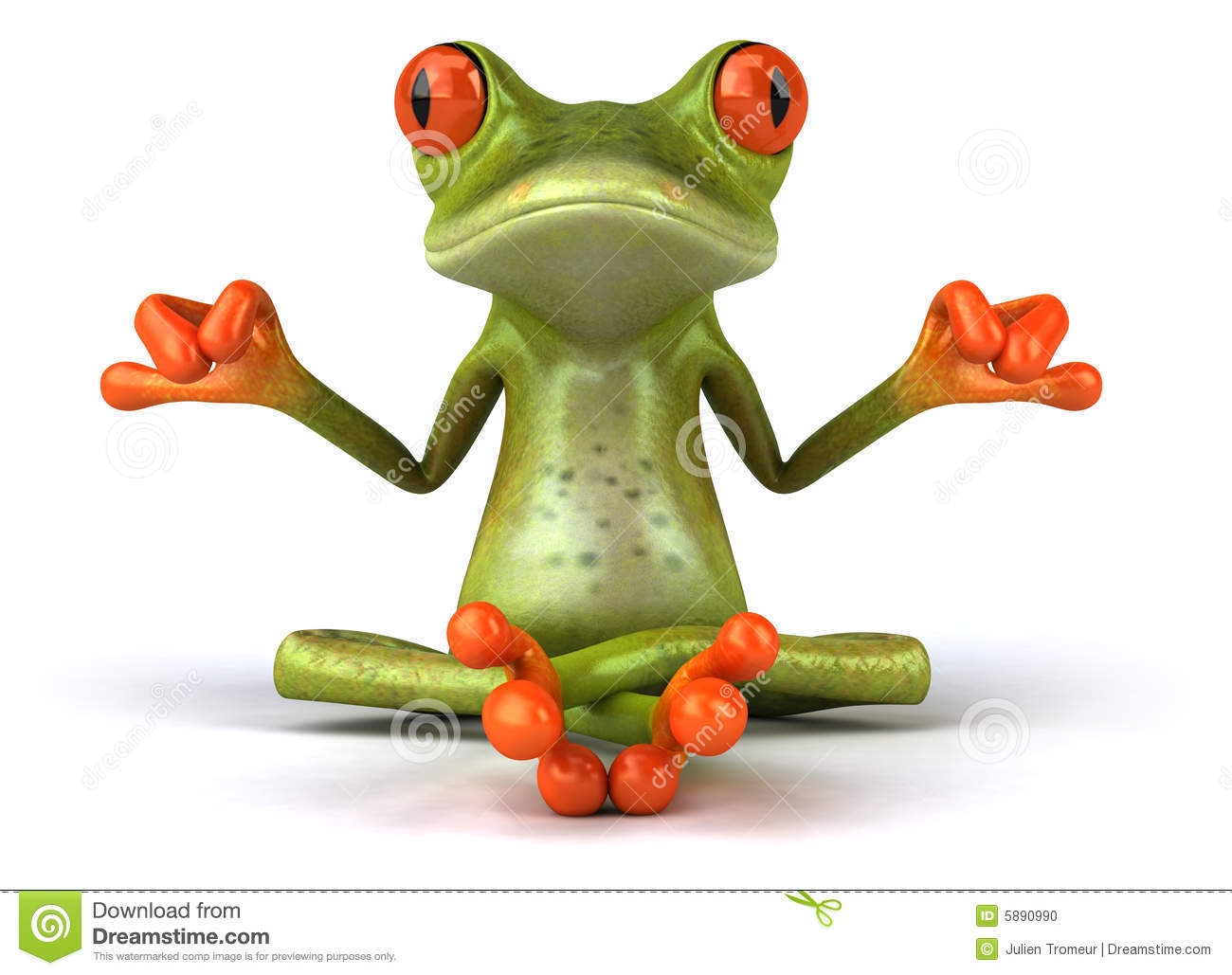 http://www.dreamstime.com/stock-photo-zen-frog-image5890990